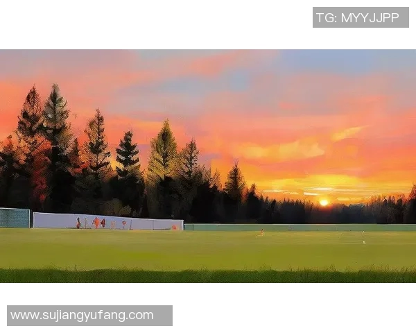 足球明星的梦幻之旅：睡前故事带你走进绿茵场的奇妙世界