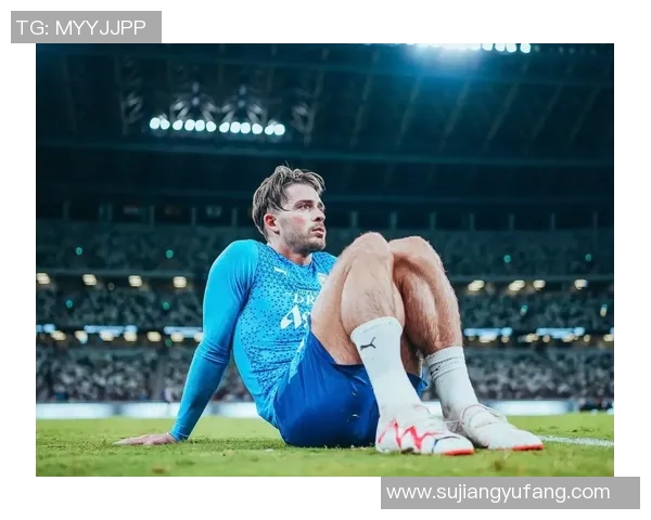 高清足球明星摇子图片欣赏与解析让你领略球场风采与魅力