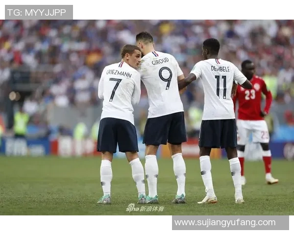 法国与丹麦比赛技术统计分析全面解读 法国与丹麦比赛技术统计分析全面解读