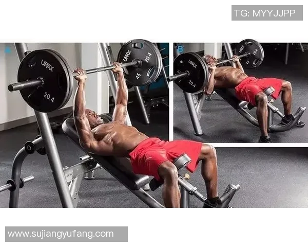 哑铃训练手臂内侧的有效方法与技巧分享