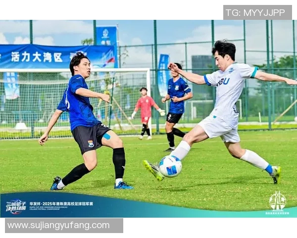 在绿茵场上绽放的她们多女主蓝足球明星的青春故事